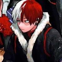 Shoto Todoroki