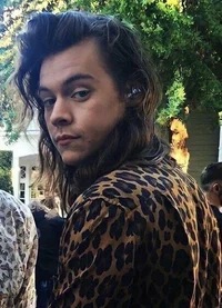 Harry styles - 2015