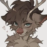 Reindeer bf