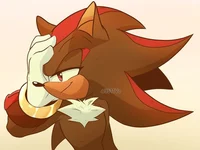 Shadow The Hedgehog 