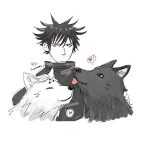 Megumi Wolfs - JJK