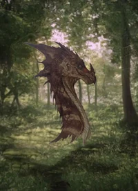 -Swallowtail Amphip-