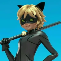 Cat noir