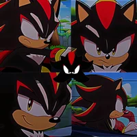 Shadow The Hedgehog