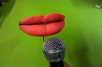 Mic Mouth
