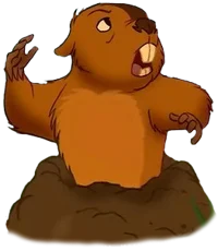 Topo
