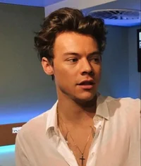 Harry Styles 