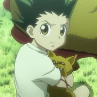 Gon Freecss