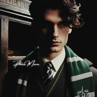 The Slytherin Boys