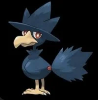 Murkrow