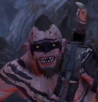 Kruk the inscrutable