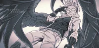 Hawks