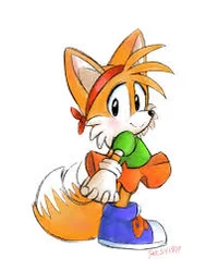 Tails in Amy Dress