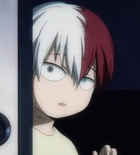 Shoto Todoroki 