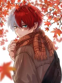 Shoto Todoroki