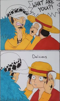 Luffy and Law