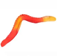 My Gummy Worm  