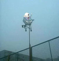 мyтн_is_screaming