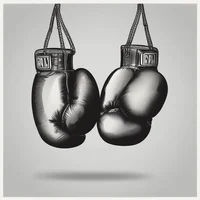 Boxing journey
