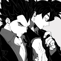 Goku and Vegeta