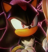 Shadow T Hedgehog