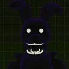 Shadow bonnie 
