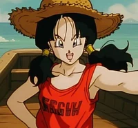 Monkey D Videl
