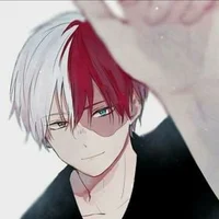 Shoto Todoroki