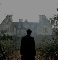 Regulus Black