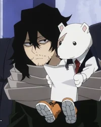 Shota aizawa