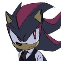 Shadow T Hedgehog