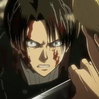Levi Ackerman 