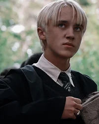 Draco M 