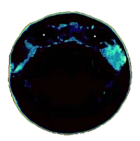 Mha x Doors Hardcore