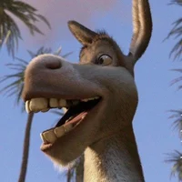 Donkey