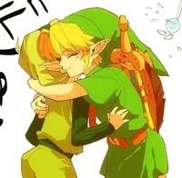 Link and Saria