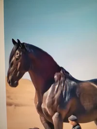 Giant horse