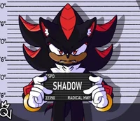 Shadow The Hedgehog