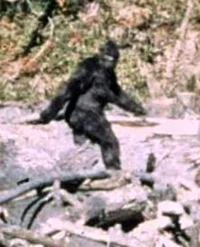 Bigfoot