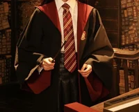 YN Gryffindor