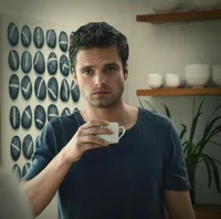 Sebastian Stan