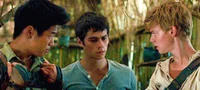 Maze Runner 