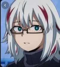 Fuyumi Todoroki 