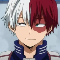 Shoto Todoroki