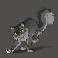Graystripe