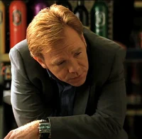 Horatio Caine 