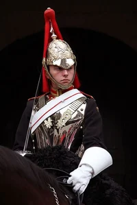 Royal Guard 