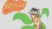 Apricot - FoodPoison