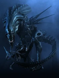 Xenomorph Queen TF