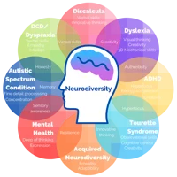Neurodevelopment
